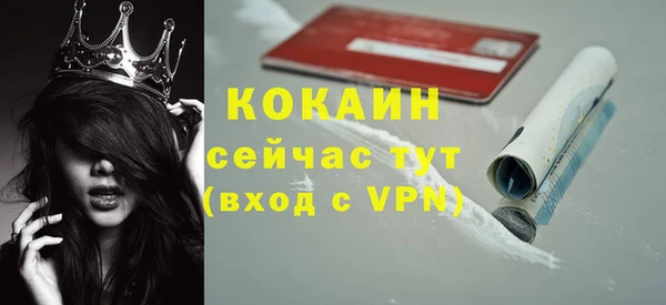 твердый Вязьма